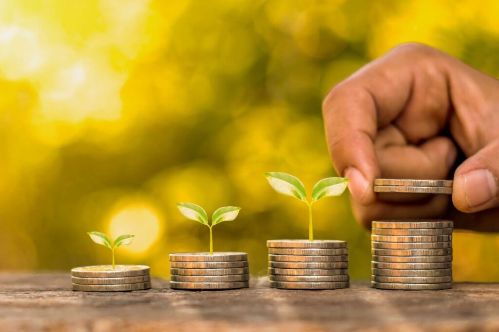 Mão empilhando moedas em pilhas crescentes com plantas brotando representando crescimento através da educação financeira e mentalidade de abundância